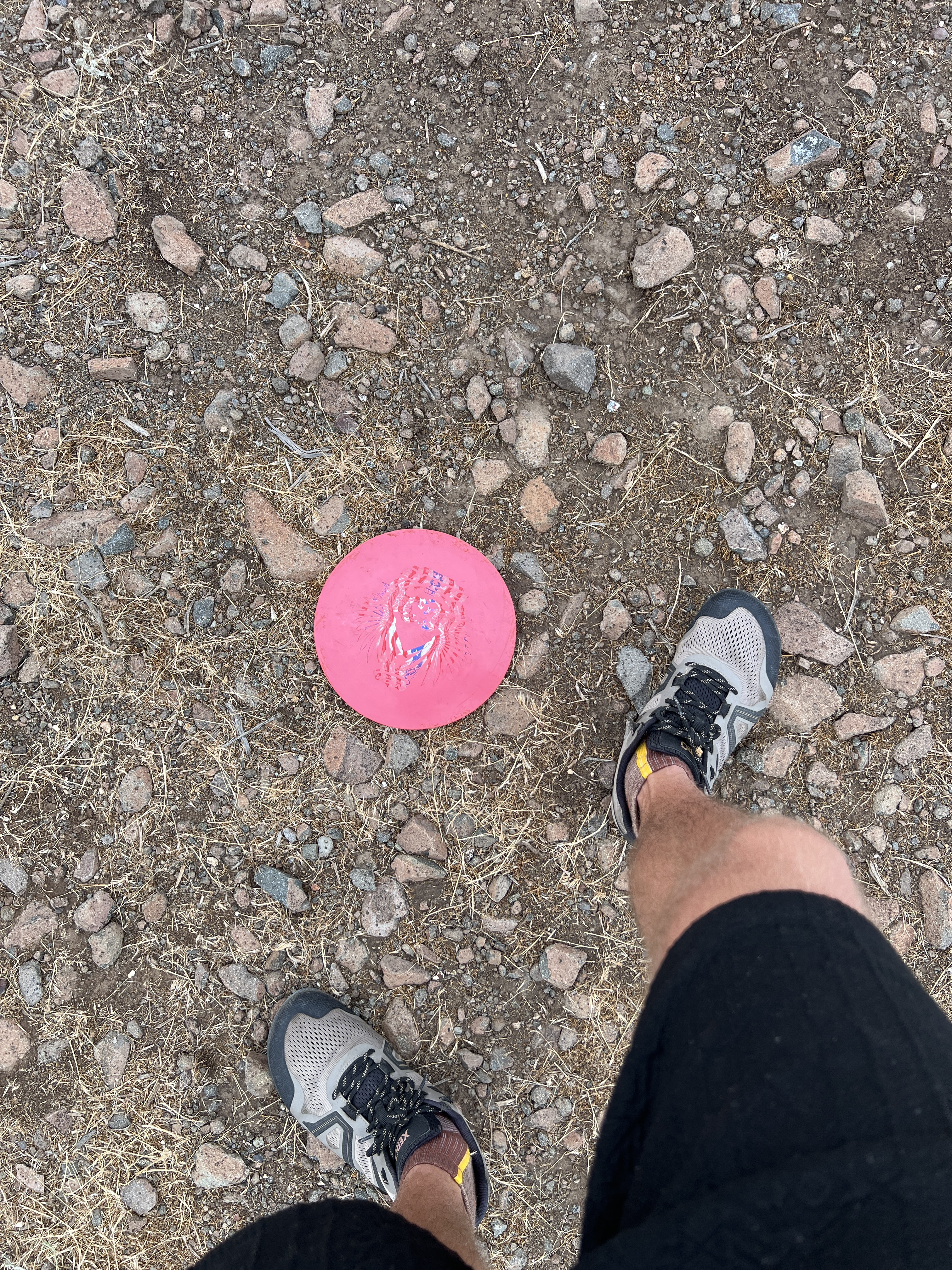 Frisbee golf on a Friday! 🤘
